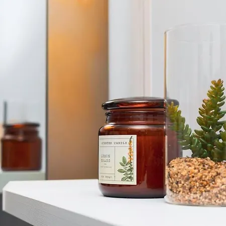 Cosy Coeur Du Touquet Proche - Wifi Διαμέρισμα *