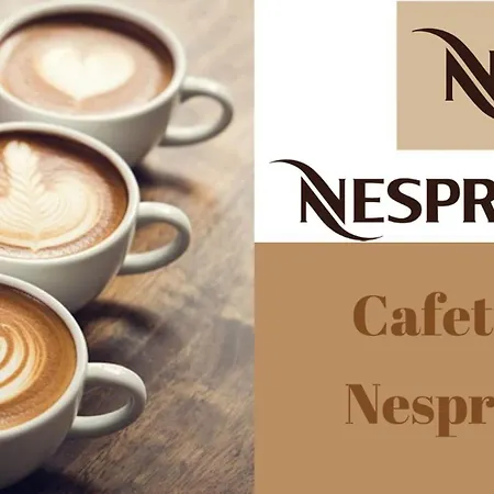 Cosy Coeur Du Touquet Proche - Wifi * Le Touquet